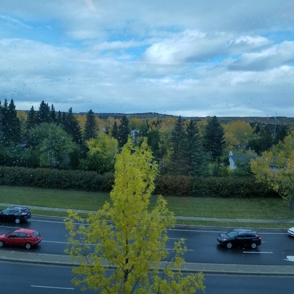 Meet your Posher, Lina - Picture 1 of 1